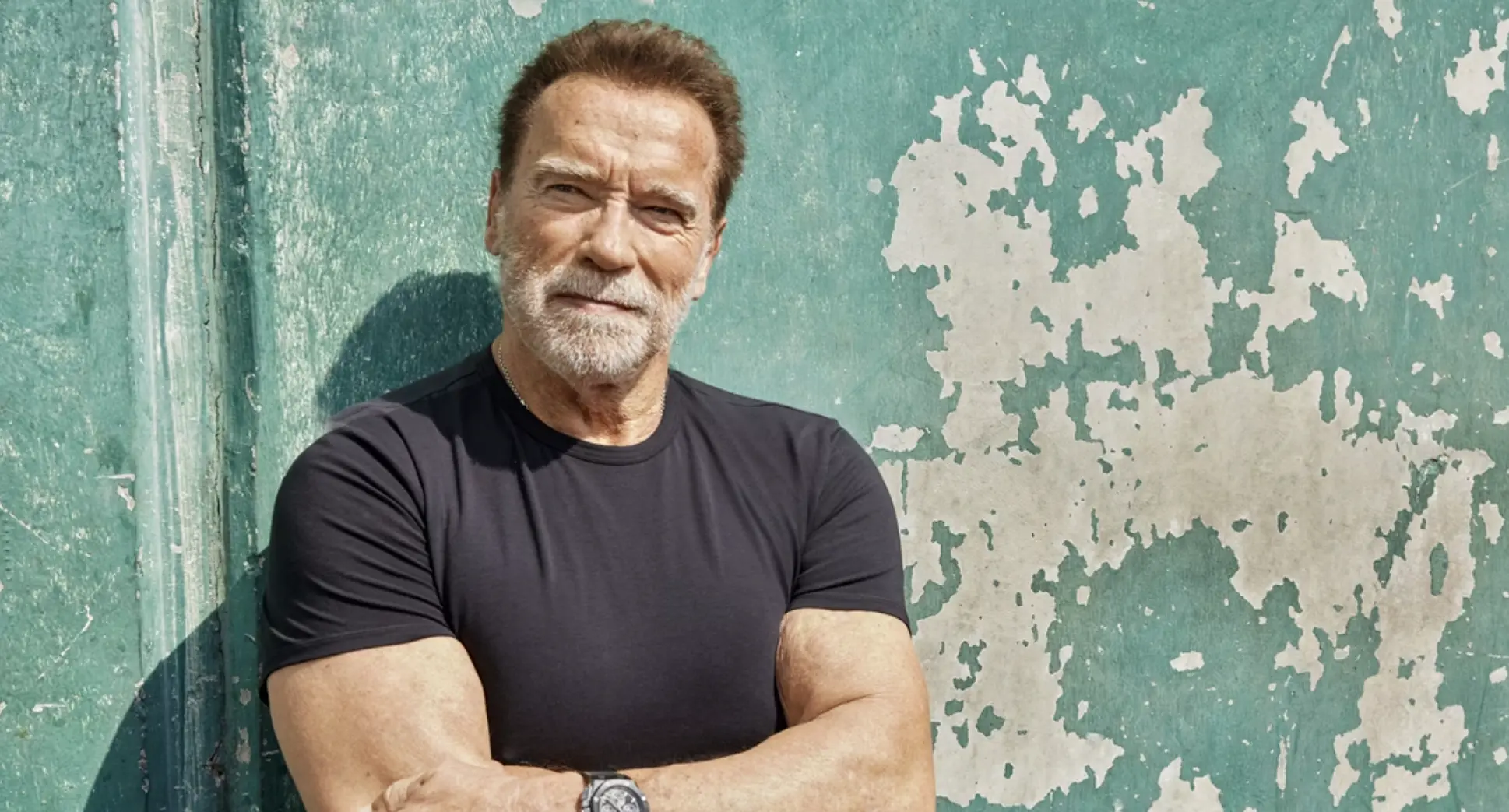 Arnold Schwarzenegger: The Commander Personality Profile - An MBTI Analysis